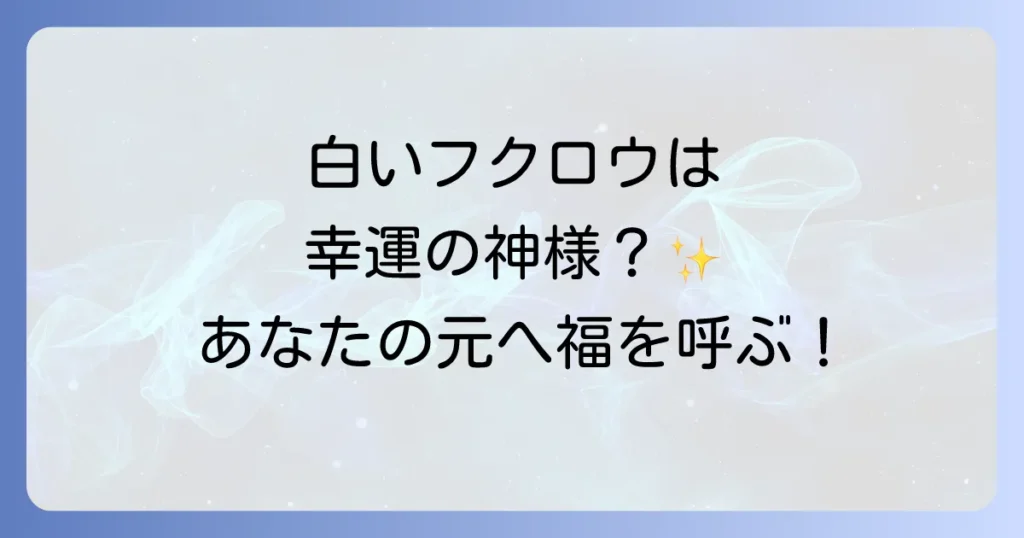 白いフクロウスピリチュアル意味を徹底解説！幸運を呼ぶメッセージと夢の兆し