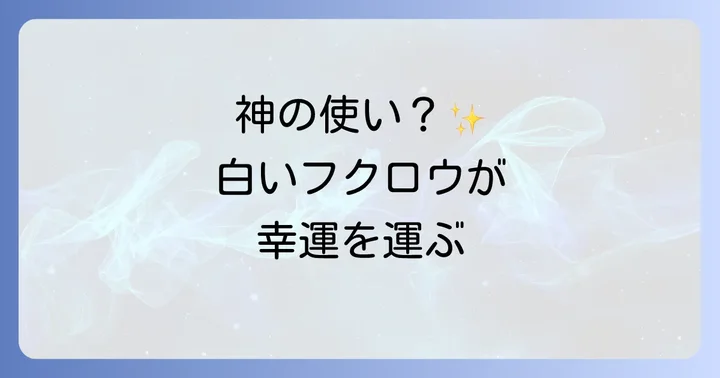フクロウ全般のスピリチュアルな意味と象徴