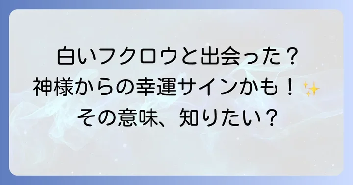白いフクロウに出会った時のスピリチュアルな行動と心構え