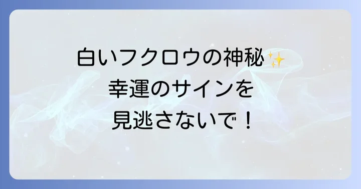 白いフクロウにまつわるアイテムのスピリチュアルな活用方法