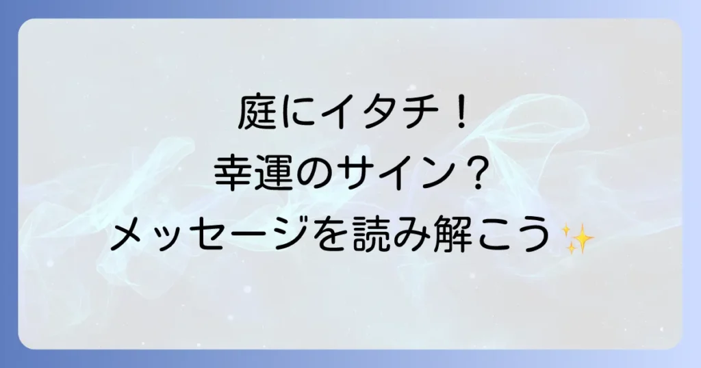 庭にイタチが来るスピリチュアルな意味とは？幸運の兆しやメッセージを徹底解説