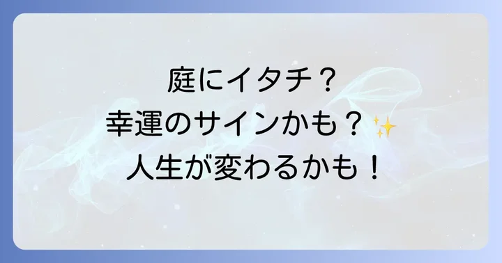 庭にイタチが来るスピリチュアルな意味を深く知る