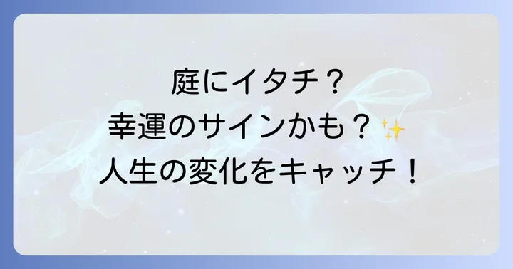 イタチを庭で見かけた時の心構えと行動