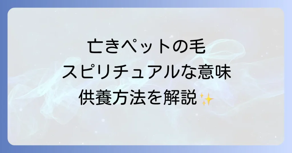 亡くなったペットの毛が持つスピリチュアルな意味と供養方法を徹底解説