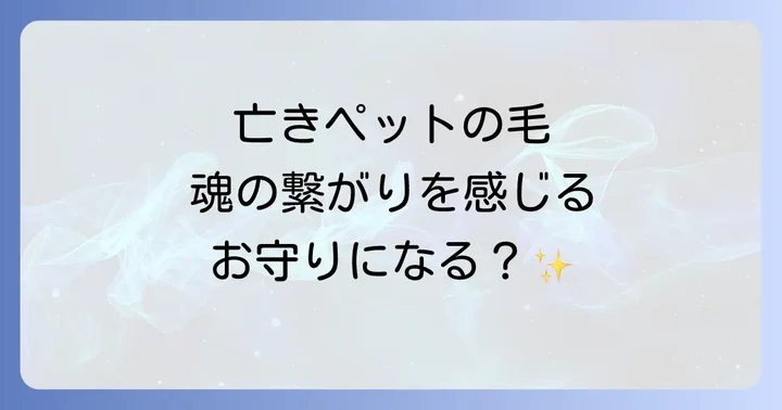 亡くなったペットの毛に宿るスピリチュアルな意味とは