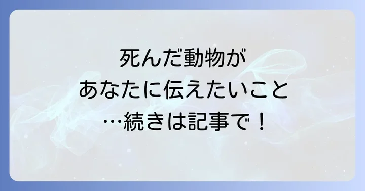 動物の種類別スピリチュアルメッセージ