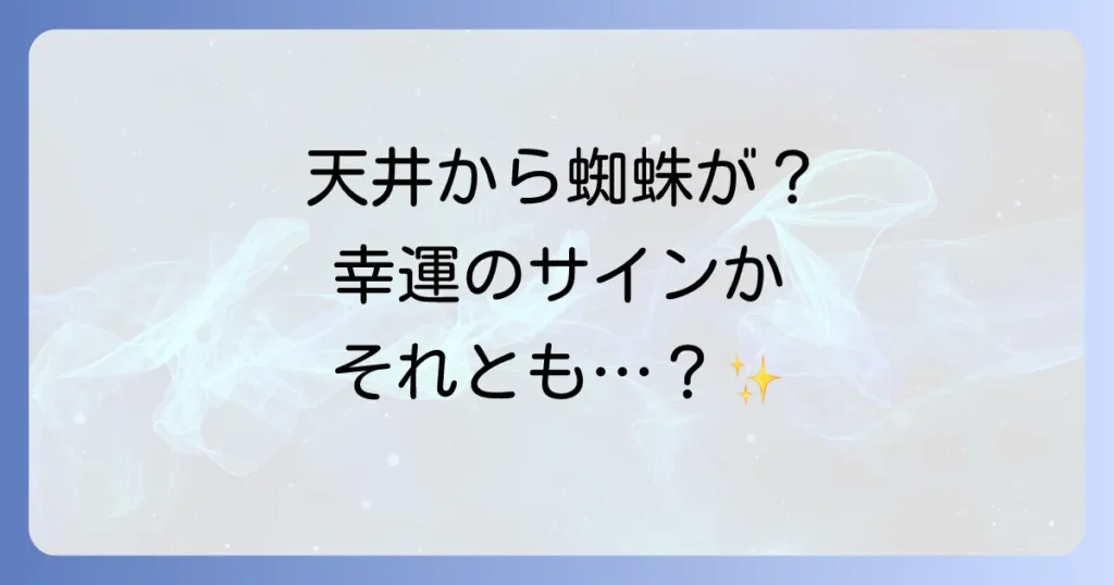 天井から蜘蛛が降りてくるスピリチュアルな意味とは？幸運のサインか不吉な前兆か徹底解説