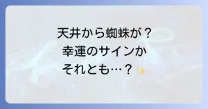 天井から蜘蛛が降りてくるスピリチュアルな意味とは?幸運のサインか不吉な前兆か徹底解説