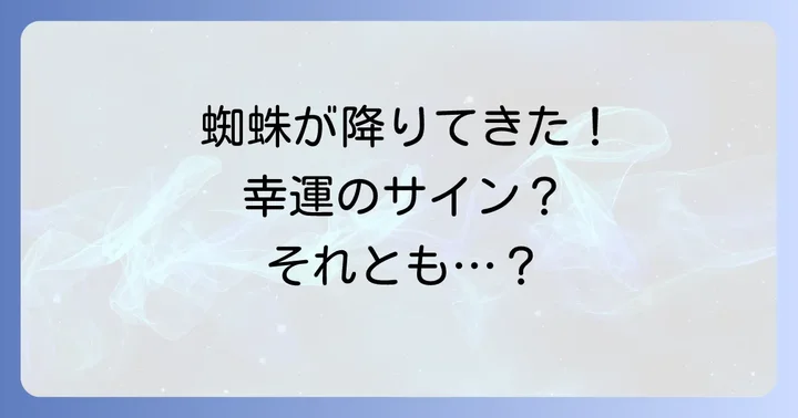 朝と夜で異なる?蜘蛛が降りてくる時間帯別のスピリチュアルな意味