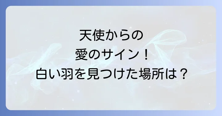 小さい白い羽を見つけた場所が伝える意味