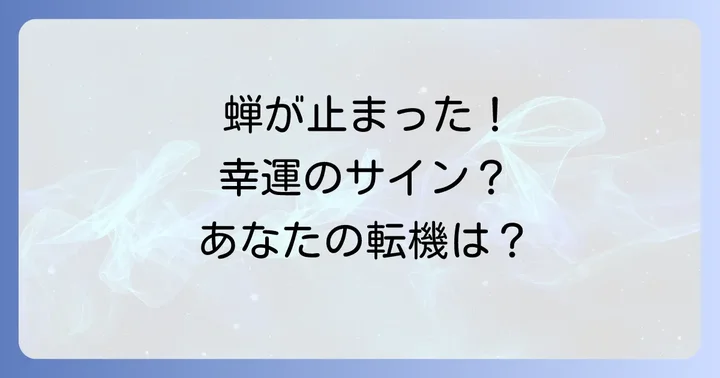 蝉が体に止まった時に心がけたいこと