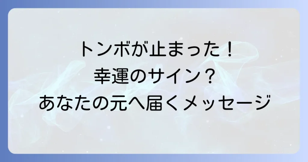 トンボが体にとまるスピリチュアルな意味を徹底解説！幸運のサインとメッセージ