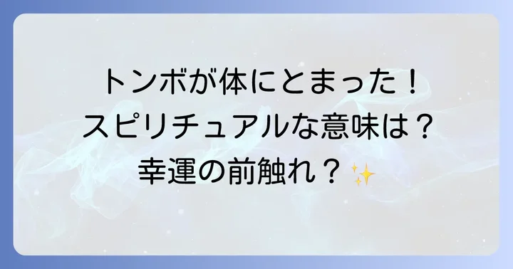 トンボが体にとまるスピリチュアルな基本的な意味とは？