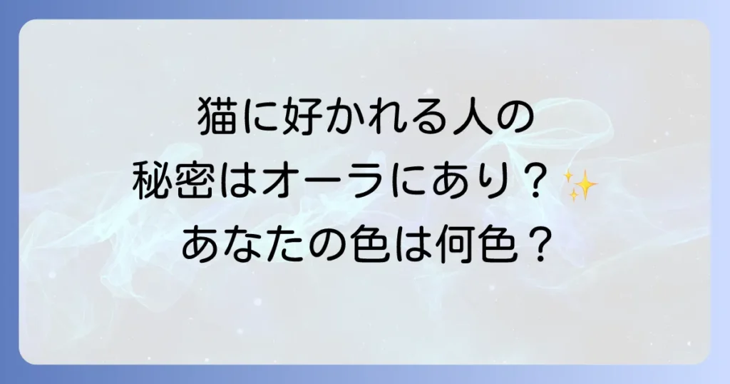猫に好かれる人スピリチュアルな特徴とオーラを徹底解説