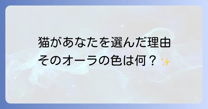 猫が人を選ぶ理由とは?スピリチュアルな視点から紐解く