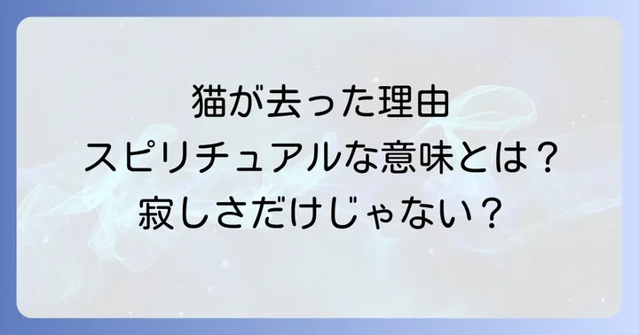 野良猫が来なくなった時の心の変化とスピリチュアルな意味