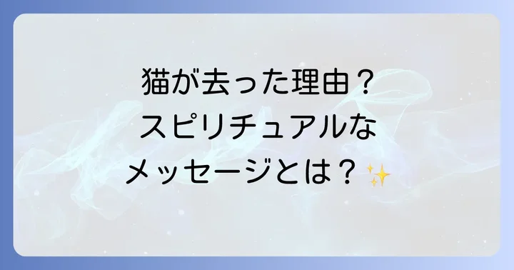 野良猫が来なくなったスピリチュアルな理由を深掘り