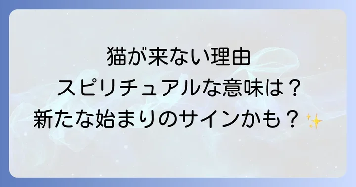 野良猫が来なくなった時に試したいスピリチュアルな対処法
