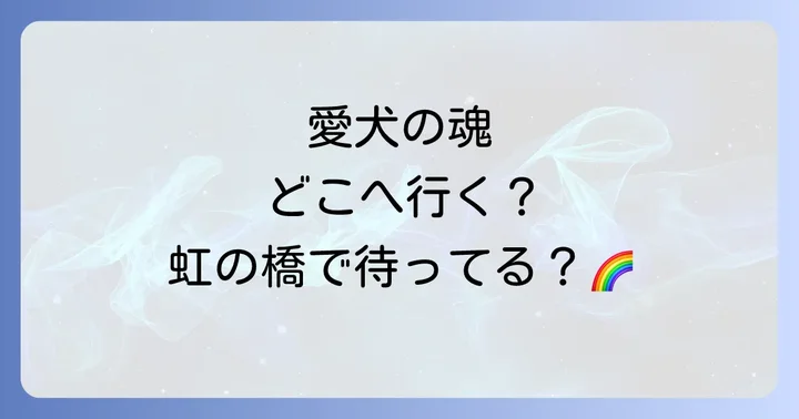 愛犬の死スピリチュアルな意味とは?魂の行方と再生