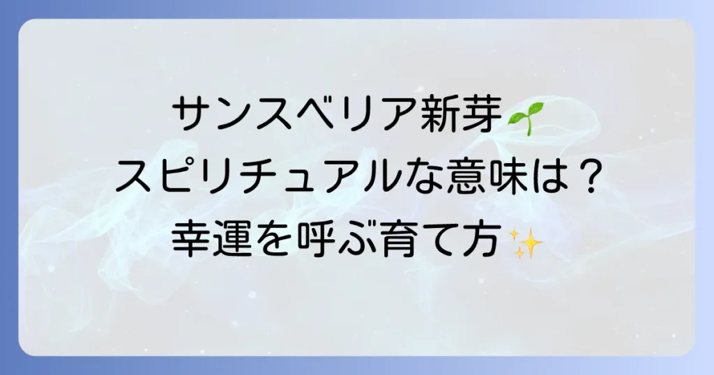 サンスベリア新芽のスピリチュアルな意味を徹底解説！幸運を呼ぶ育て方**と**風水