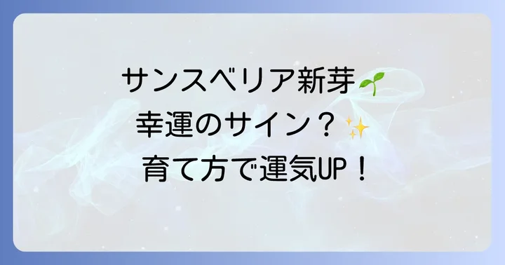 サンスベリアのスピリチュアルな力を高める育て方と置き場所