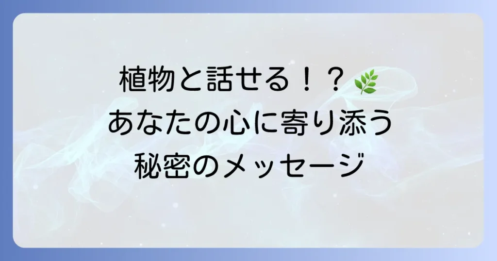 植物と会話するスピリチュアルな意味と実践方法：自然との繋がりを深めるガイド