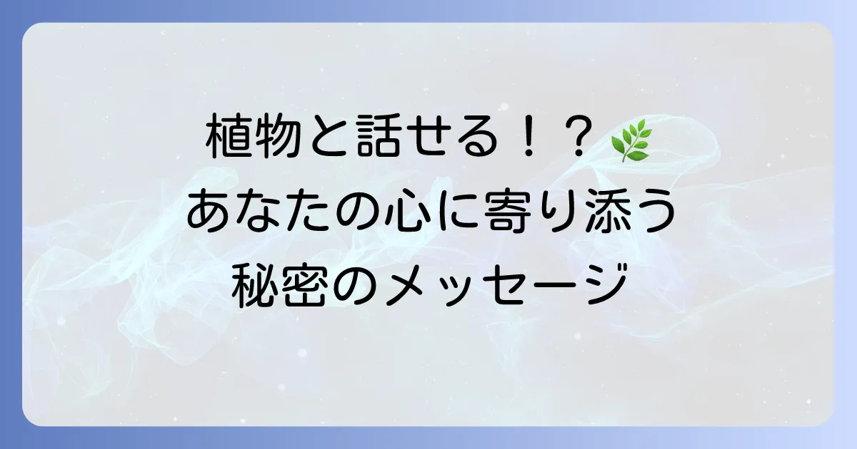 植物と会話するスピリチュアルな意味と実践方法：自然との繋がりを深めるガイド