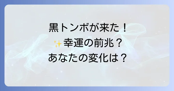 黒トンボが持つ基本的なスピリチュアルな意味