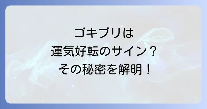 ゴキブリのメッセージを受け取り、運気を好転させるための具体的な行動