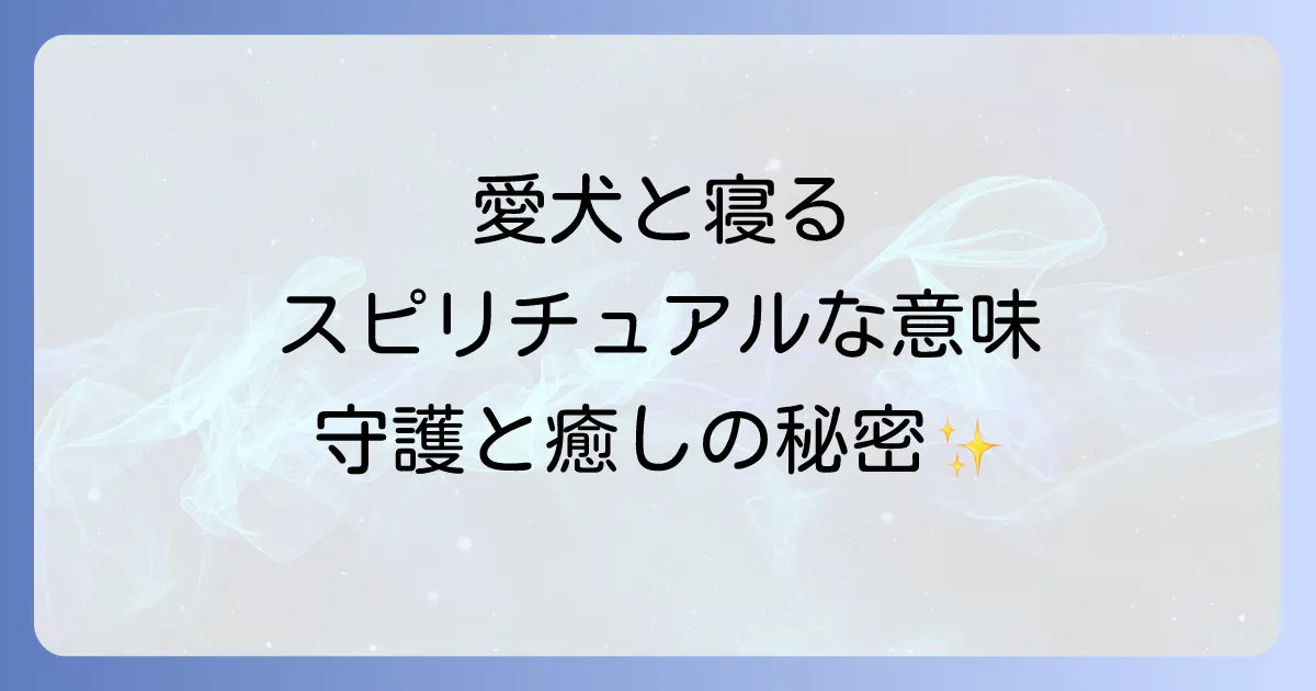 犬と寝るスピリチュアルな意味を徹底解説!愛犬がもたらす守護と癒し、運気向上の秘密