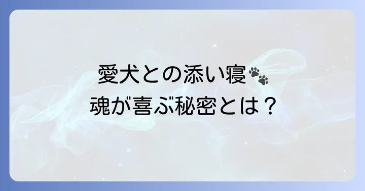 犬と寝るスピリチュアルな意味とは?愛犬があなたに贈るメッセージ