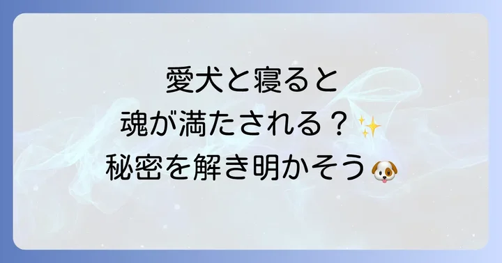 犬と寝ることの現実的なメリットと注意点