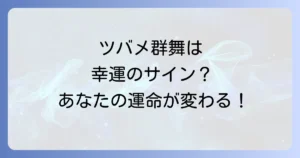 ツバメがたくさん飛んでるスピリチュアルな意味とは?幸運を呼び込む吉兆を徹底解説