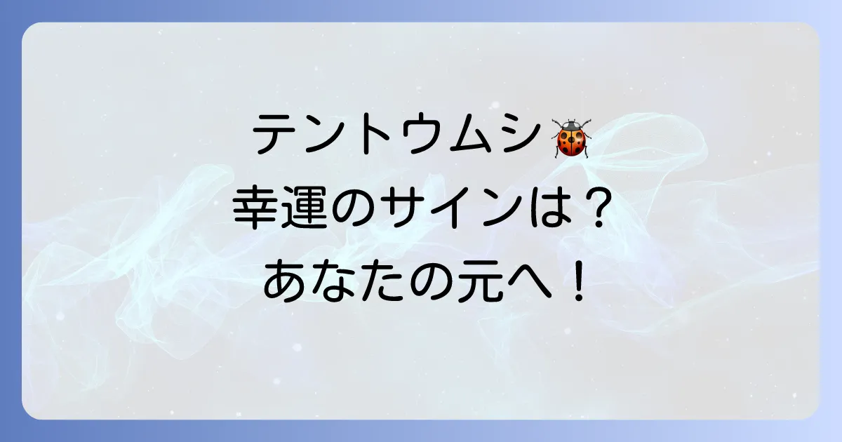 テントウムシのスピリチュアルな意味を徹底解説!幸運のサインから恋愛・金運まで