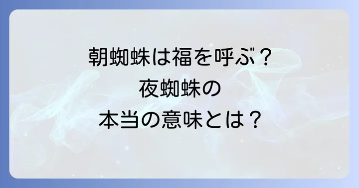 時間帯で変わる蜘蛛のメッセージ:朝と夜のスピリチュアルな意味