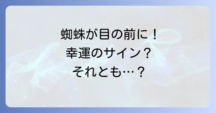 蜘蛛が目の前に降りてきた時に感じる感情と行動