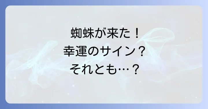 蜘蛛のスピリチュアルな意味をさらに深く知る