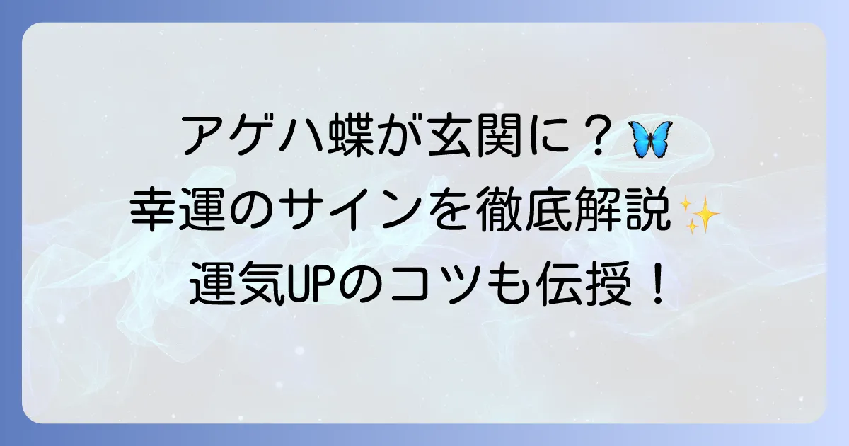 アゲハ蝶がスピリチュアルな玄関に現れる意味を徹底解説!幸運のサインと運気を高める方法