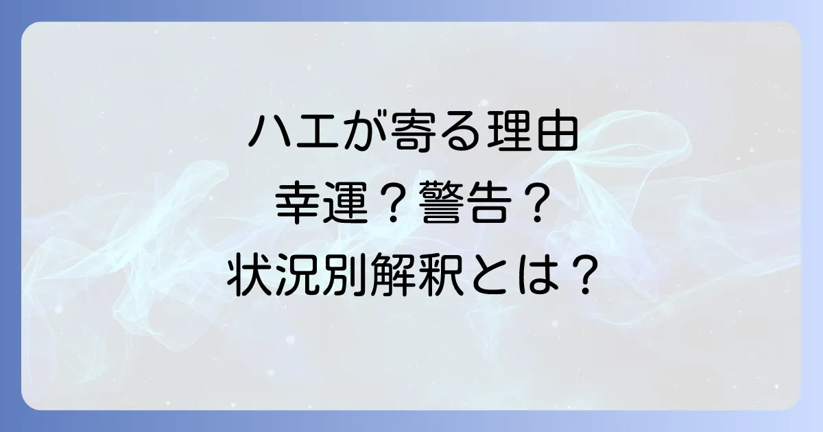ハエが寄ってくるスピリチュアルな意味を徹底解説!幸運のサイン?警告のメッセージ?状況別の解釈と対処法