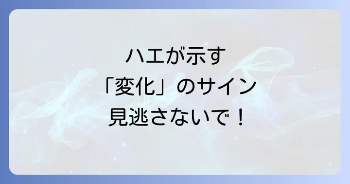 ハエが持つスピリチュアルな基本的な意味