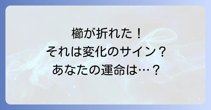 櫛が折れた時に取るべき行動と心の持ち方
