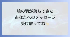 鳩の羽が落ちているスピリチュアルな意味を徹底解説!あなたへのメッセージ