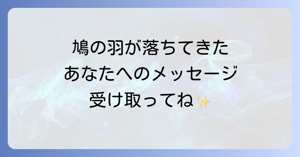 鳩の羽が落ちているスピリチュアルな意味を徹底解説!あなたへのメッセージ