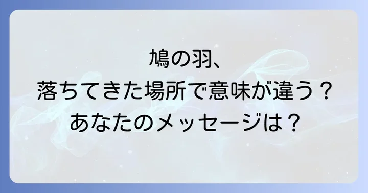 場所別で見る鳩の羽のスピリチュアルな意味
