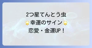 2つ星てんとう虫のスピリチュアルな意味を徹底解説!恋愛運や幸運のサイン、種類別のメッセージ