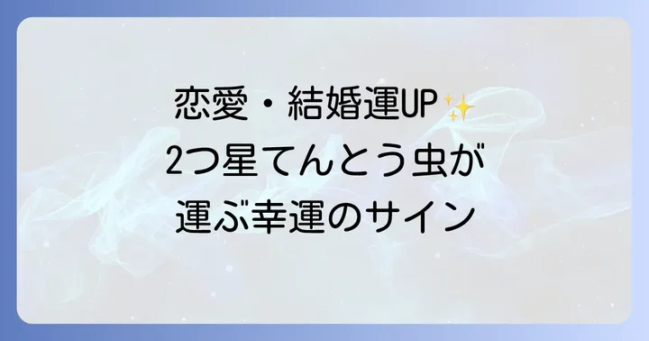 2つ星てんとう虫の行動や状況別のスピリチュアルなメッセージ