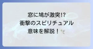 鳩が窓にぶつかるスピリチュアルな意味を徹底解説!隠されたメッセージと対処法