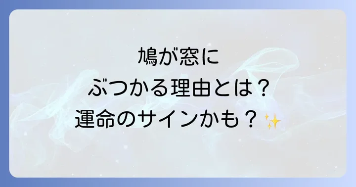 窓にぶつかる状況別のスピリチュアルな解釈