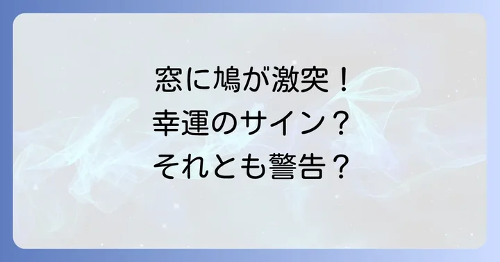 鳩が窓にぶつかった時に取るべき行動と心の持ち方