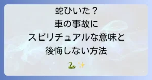 蛇を車でひいてしまった時のスピリチュアルな意味を徹底解説!後悔を乗り越えるための対処法
